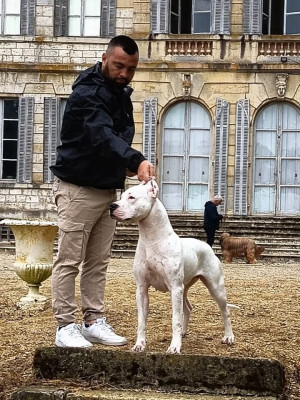 Victoire du domaine de Giulaxe