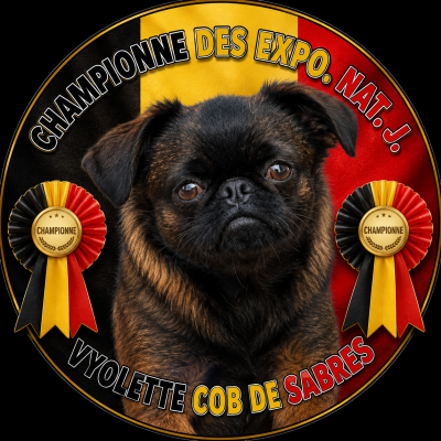Étalon Petit Brabançon - Vyolette cob de Sabres