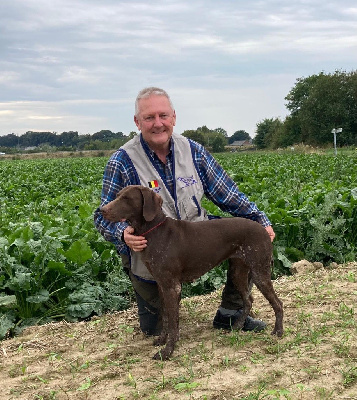 Étalon Braque allemand à poil court - CH. Loup Gris de la Cour Utha