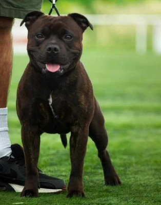 Saïko of the Bubble Staff