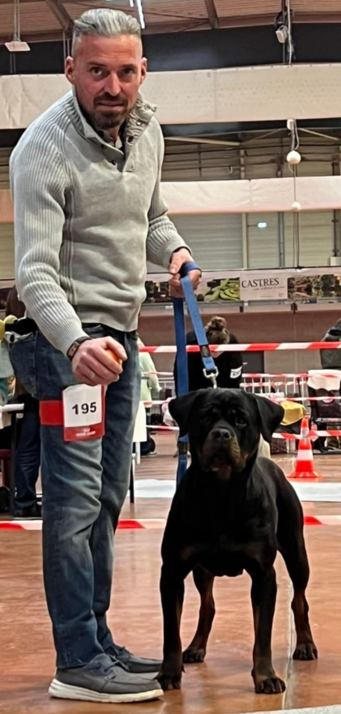 Publication : de la licorne noire Auteur : La Licorne Noire