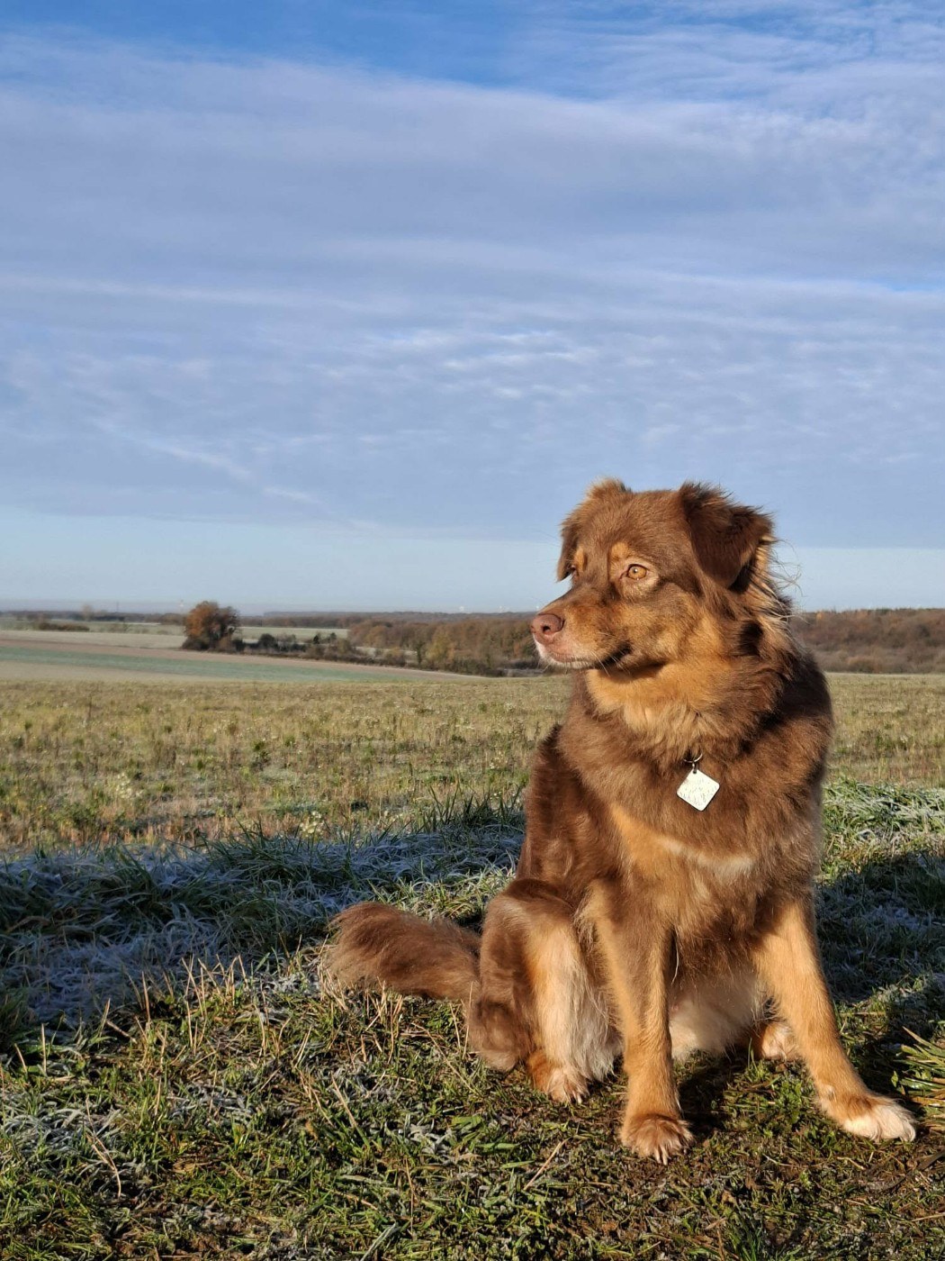 Publication : De La Vie Sans Soucis Auteur : lea bressan