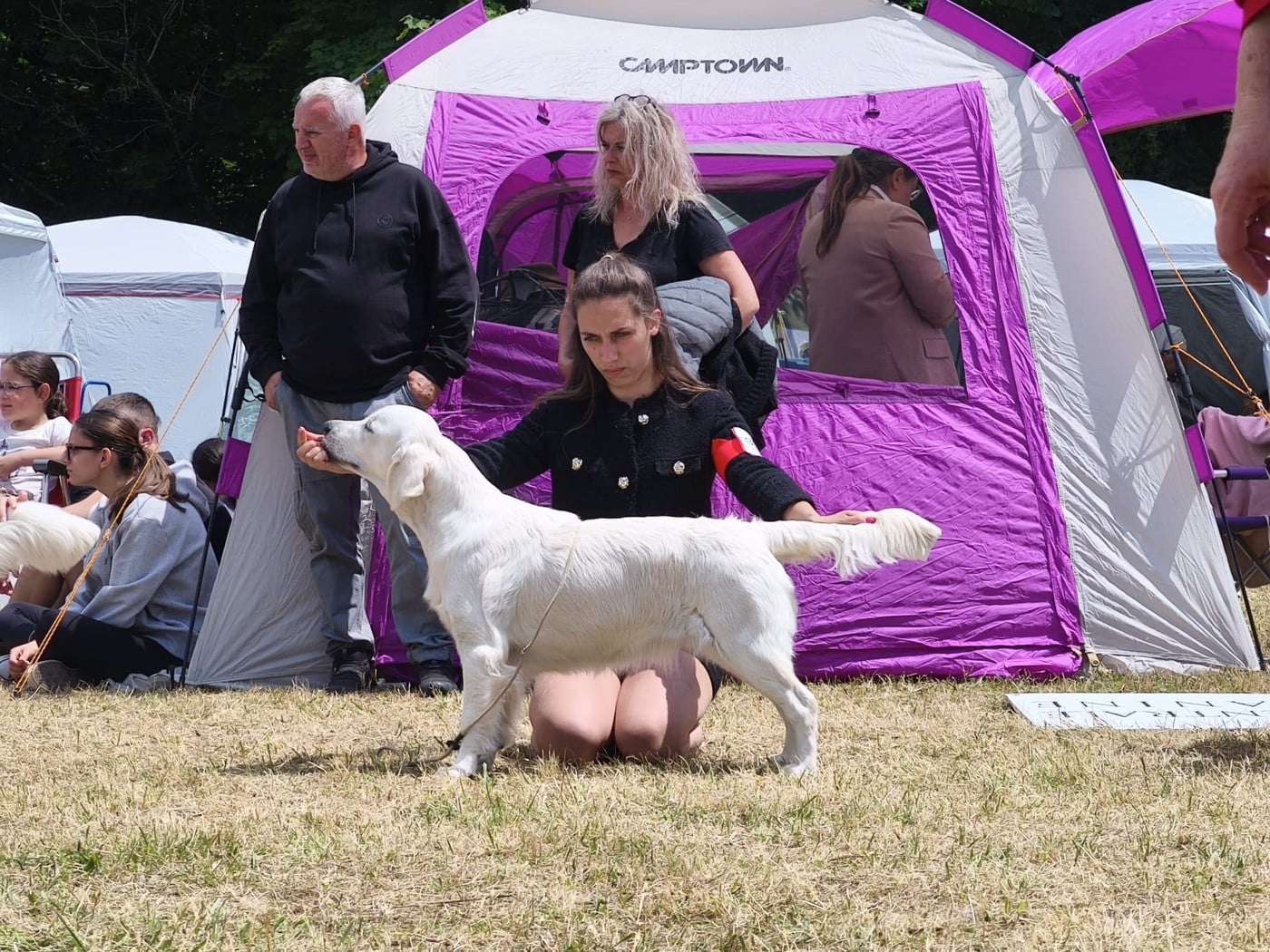 Publication : Ligne D'or 