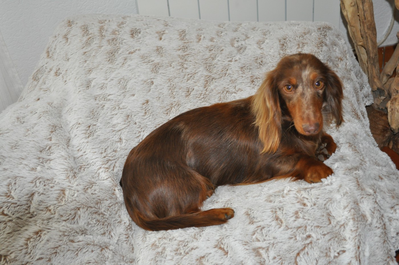 Publication : de la baie des îles 