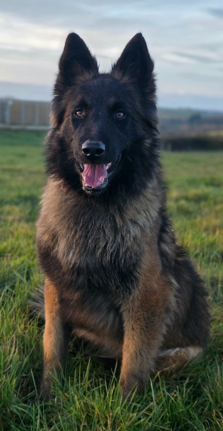 Publication : De L'Empire Du Mont Sombet