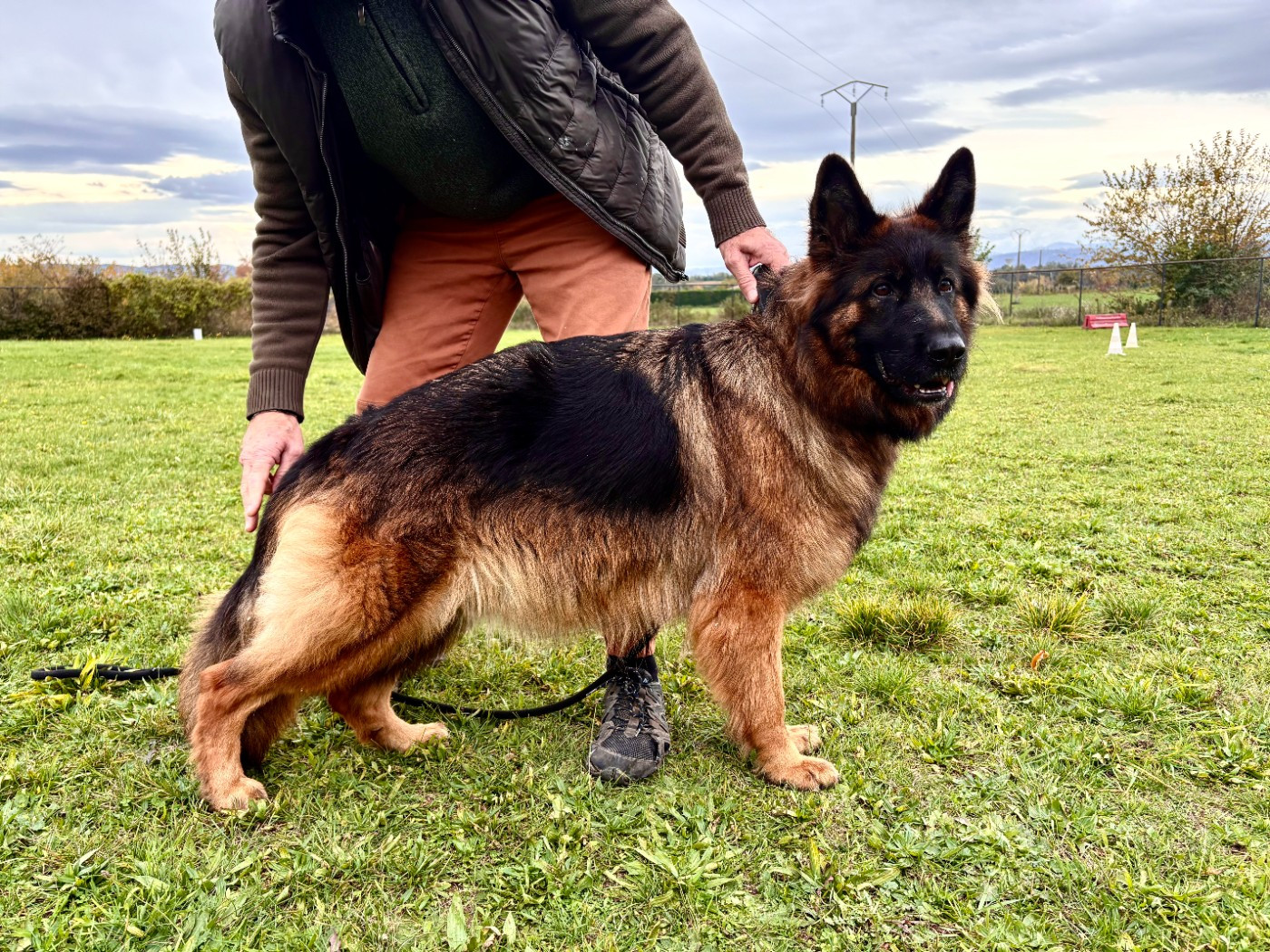 Tokyo des Princes de Sarvar