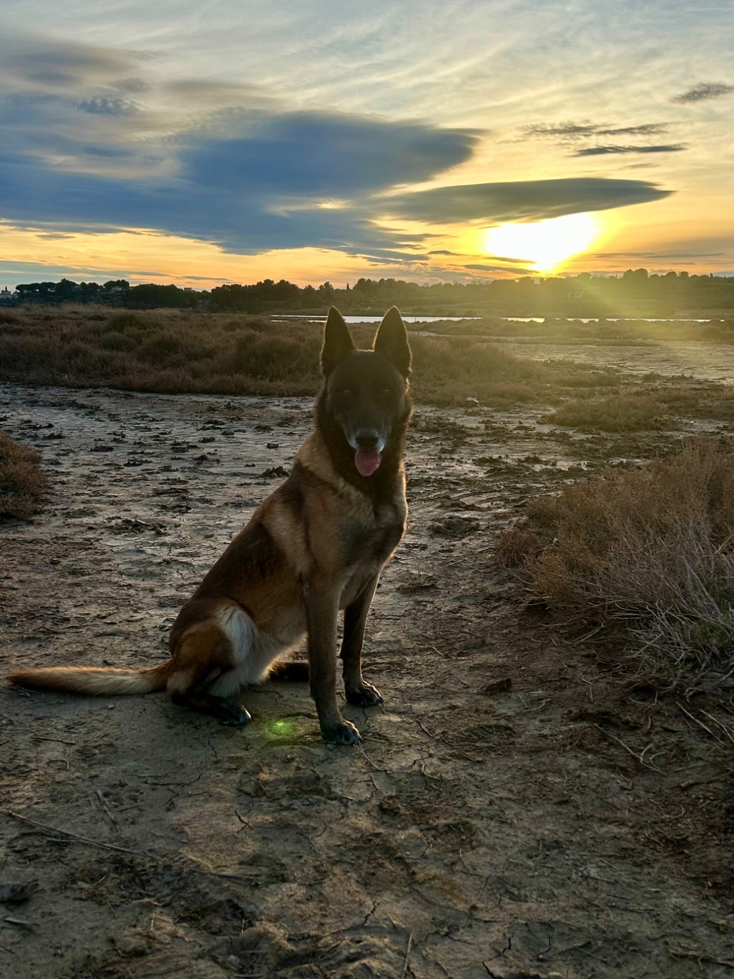 Publication : du Mas des Crozes Auteur : Mora Nicolas