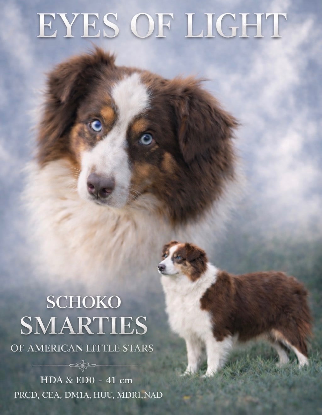 Schoko smarties Of American Little Stars