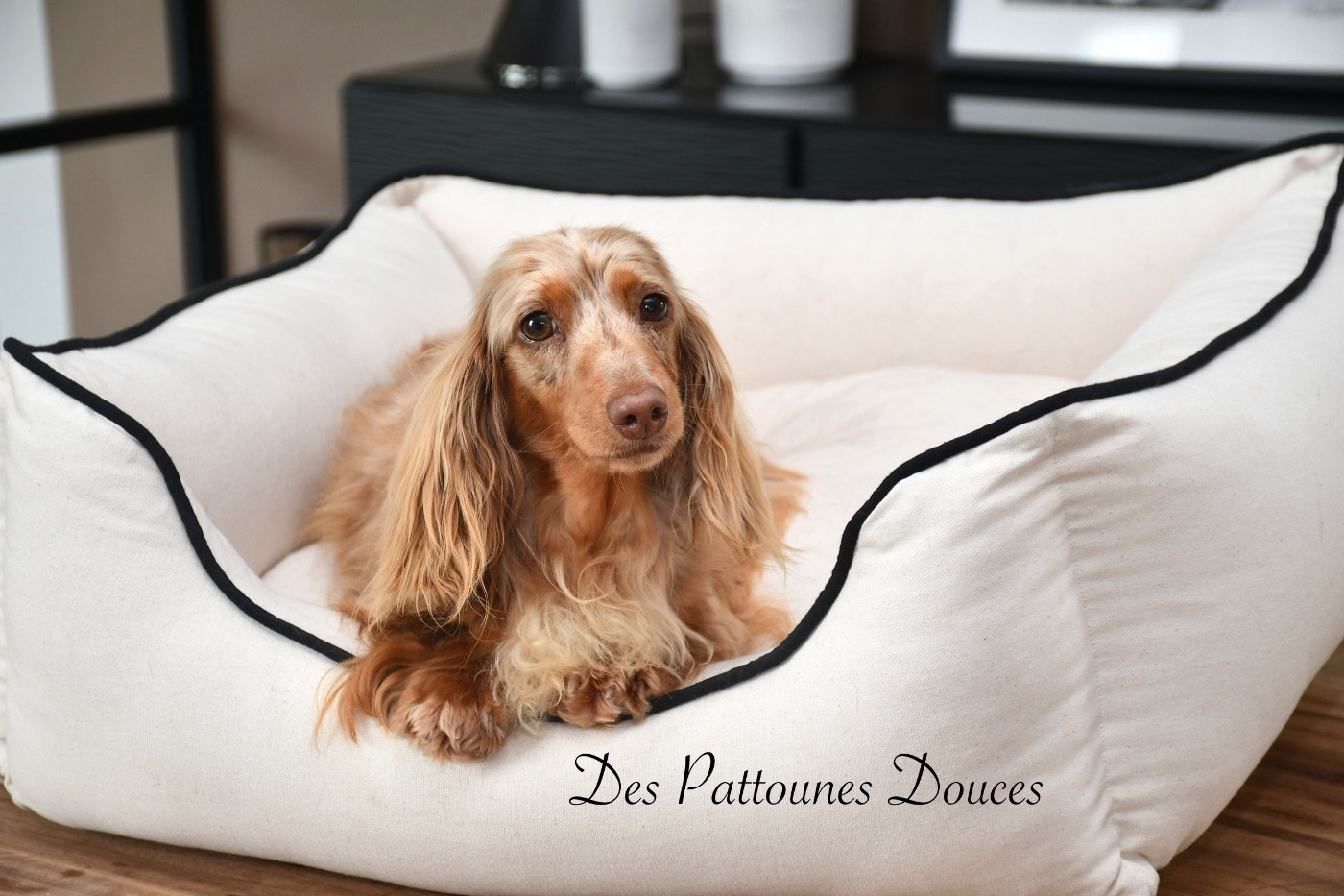 Publication : Des Pattounes Douces
