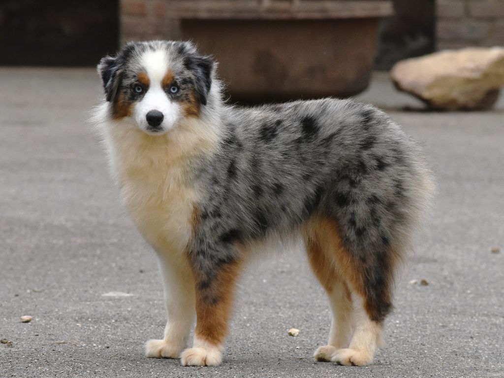 Publication : De La Folle Emprise