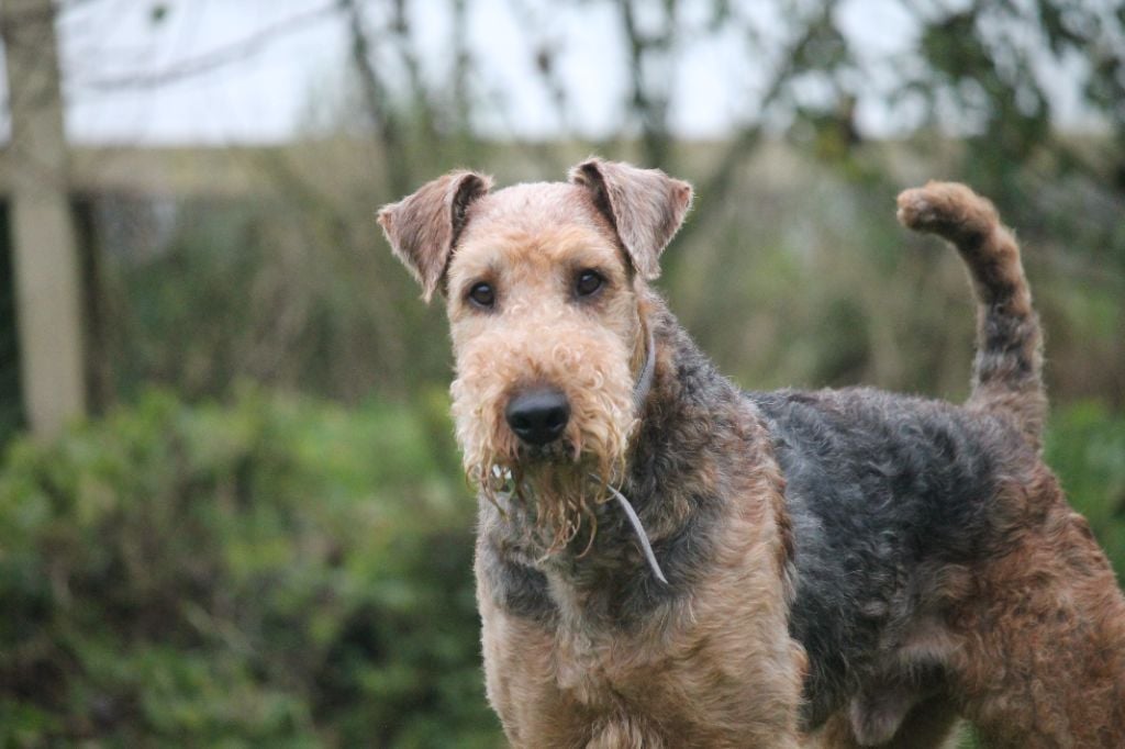 Publication : (Sans Affixe) 