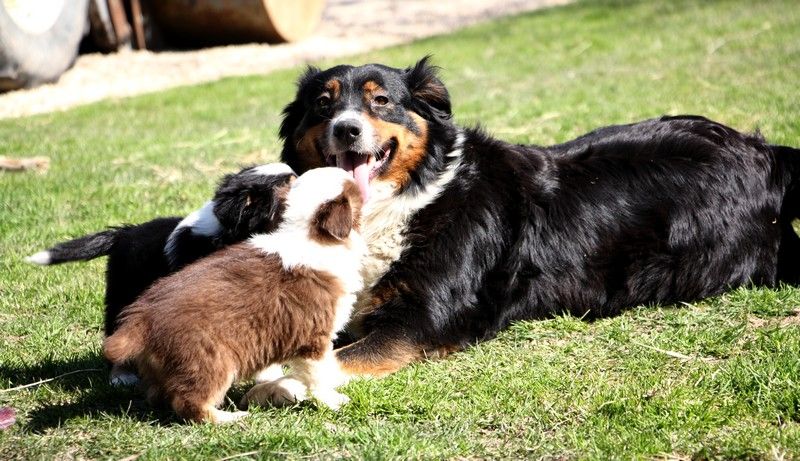 Publication : (Sans Affixe) Auteur : florian leprince