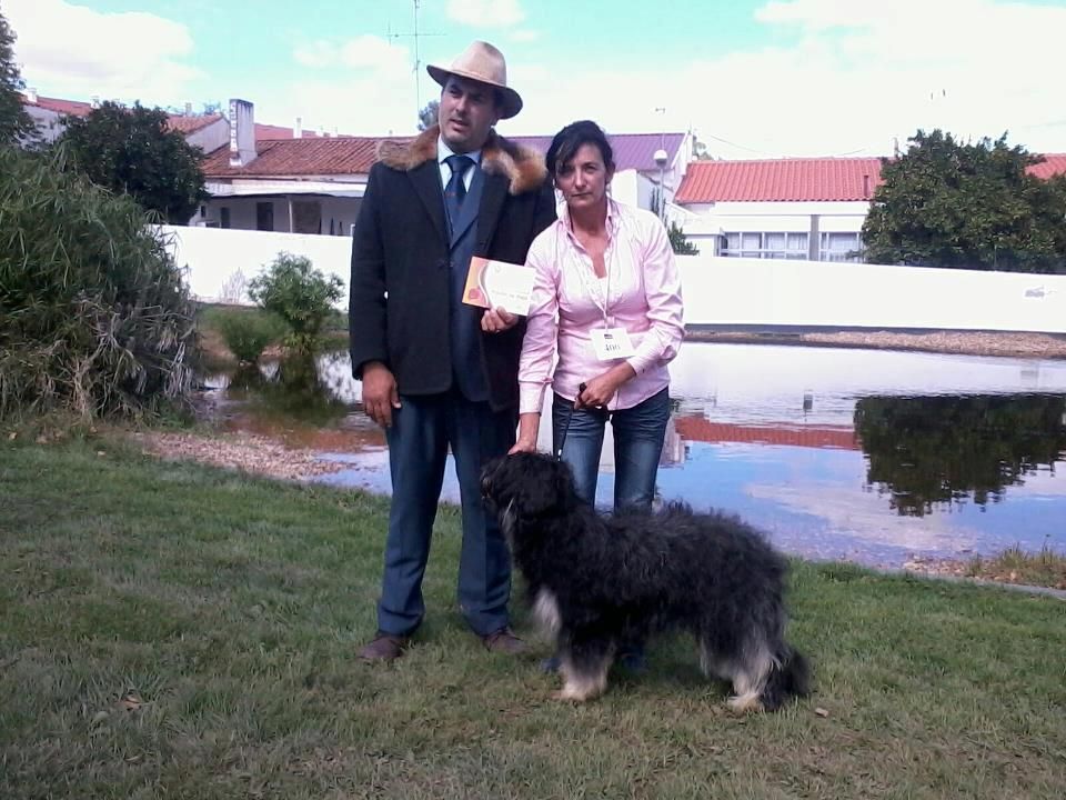 CH. Baronette das merces