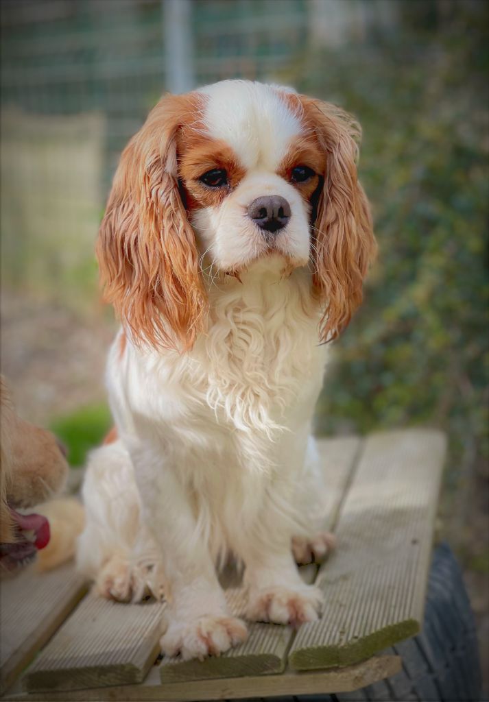 Publication : Storm haven 