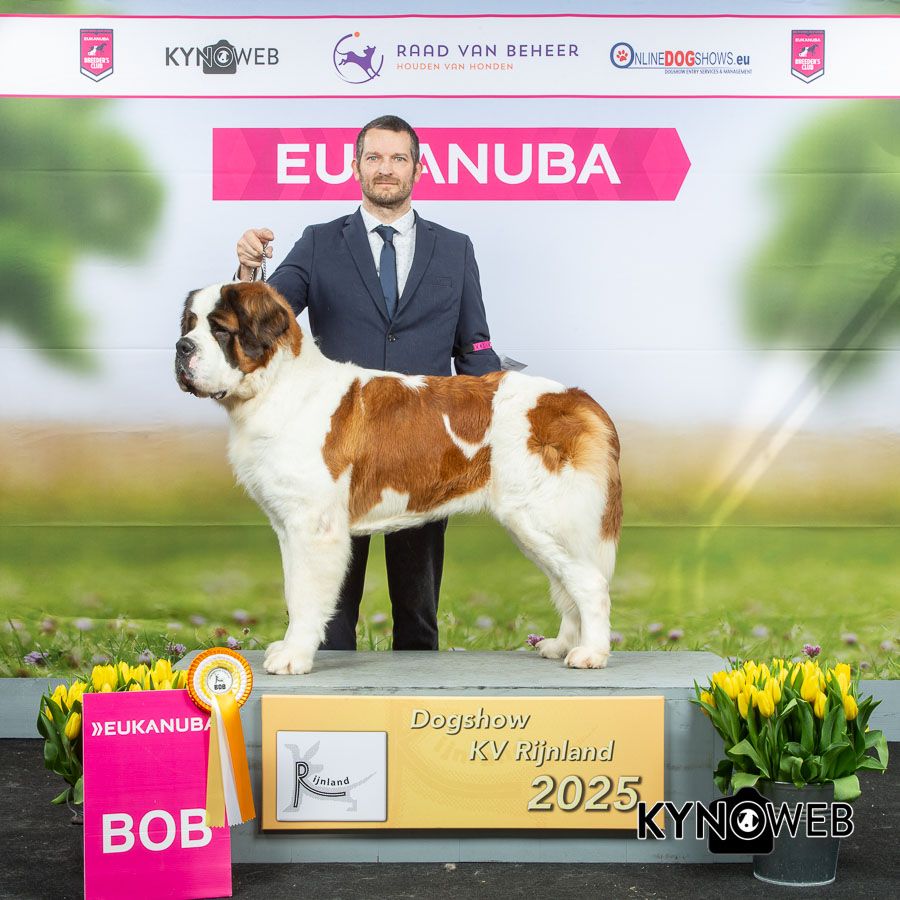 Publication : Du Domaine De La Poudrière Auteur : kynoweb