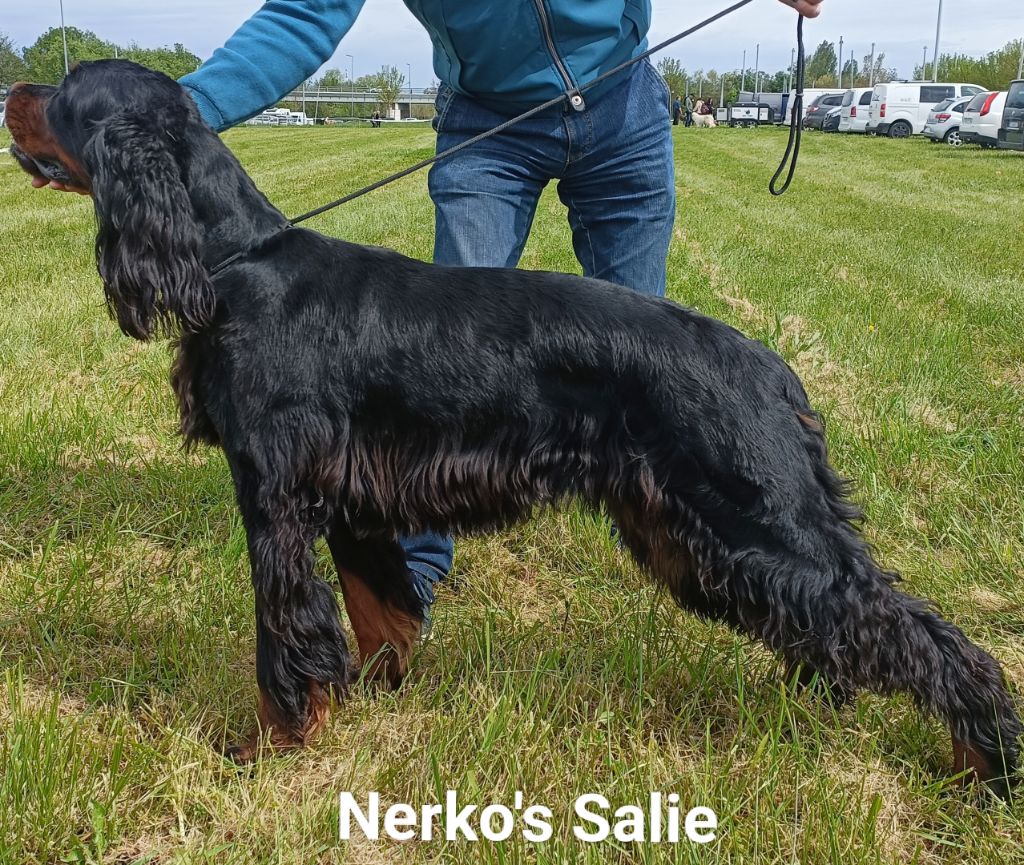 Publication : Nerko's