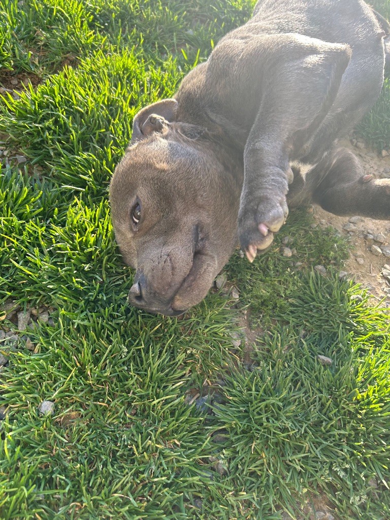 Publication : From Mont Bay 