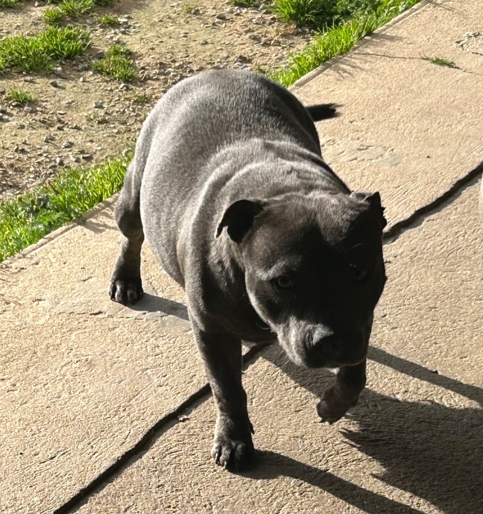 Publication : From Mont Bay 