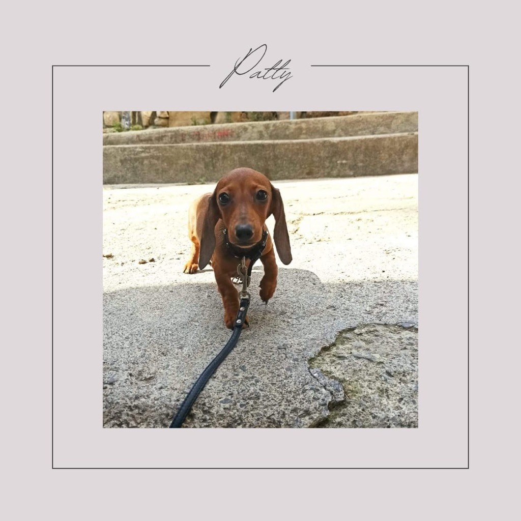 Publication : Dei Bordigotti