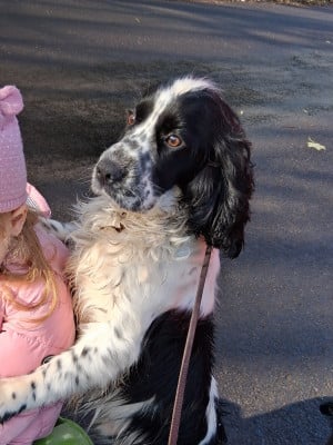 Vulcano des Etangs de Dame Blanche