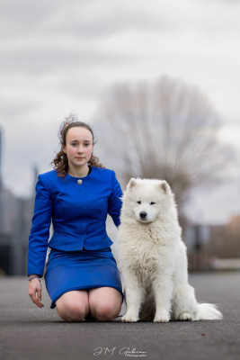 Étalon Samoyède - Virtual kiss Du Massif De l'Esterel