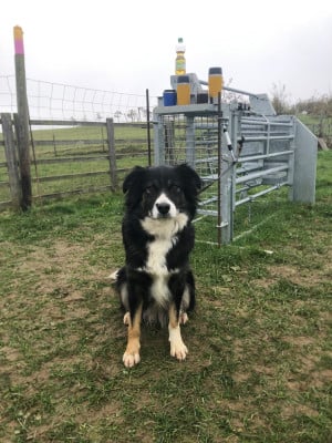 Thunderstruck Of Feeling Rainbow