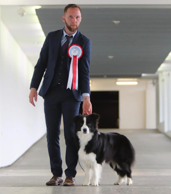 Étalon Border Collie - CH. Version 24 carats De L'Ivresse D'Amour
