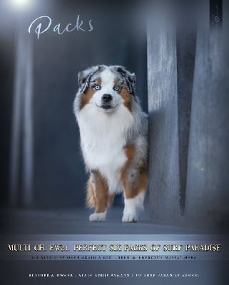 image de Perfect six packs