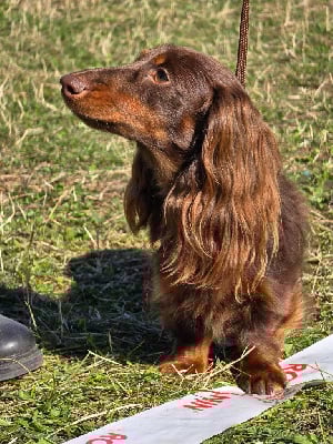 Trésor Des Sept Sacres