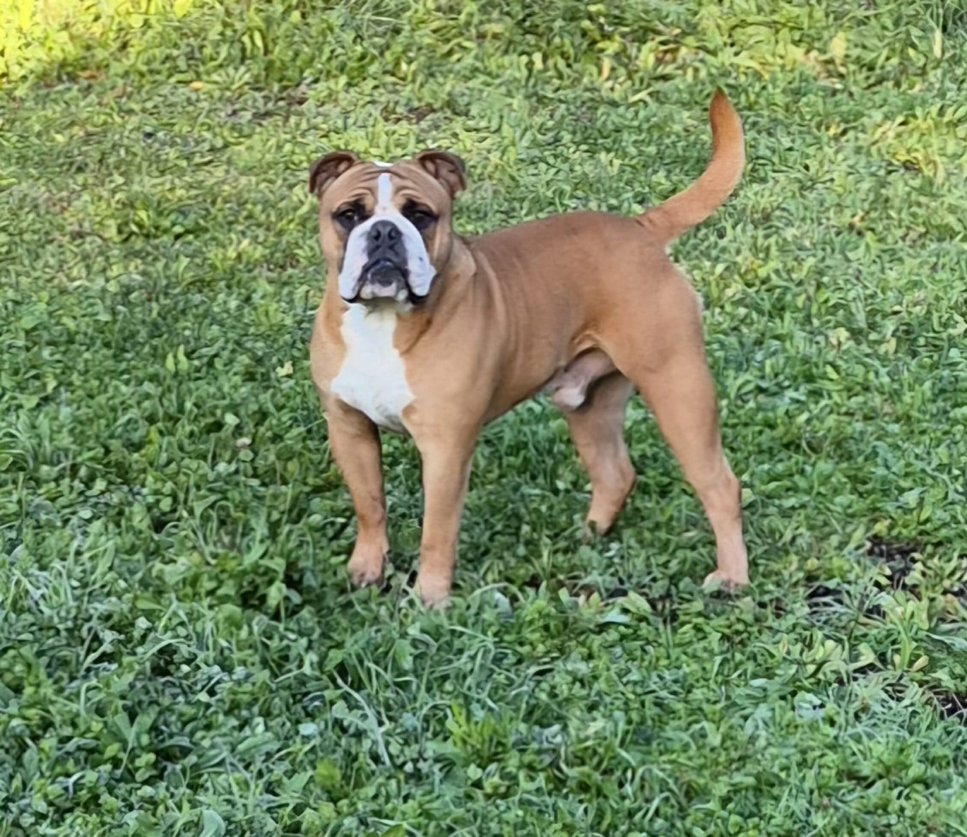 Publication : Des Brumes Du Luberon 