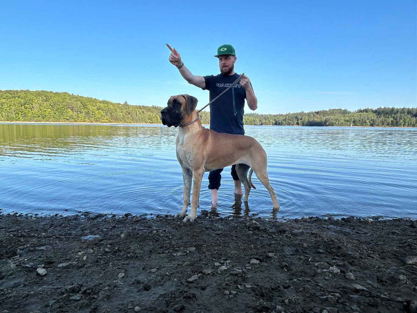 Publication : Des Iles Aux Falaises 