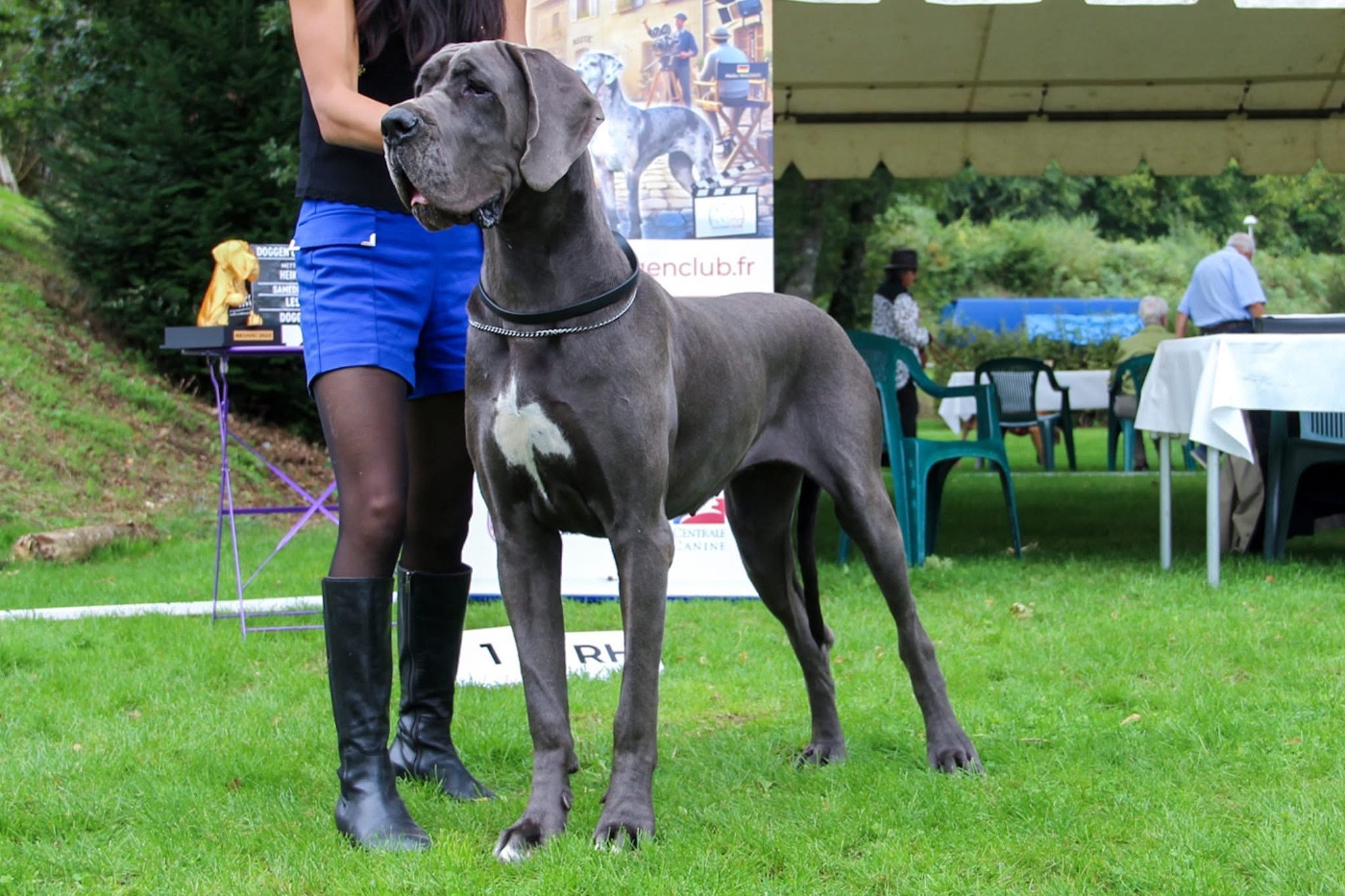 Publication : Des Iles Aux Falaises 