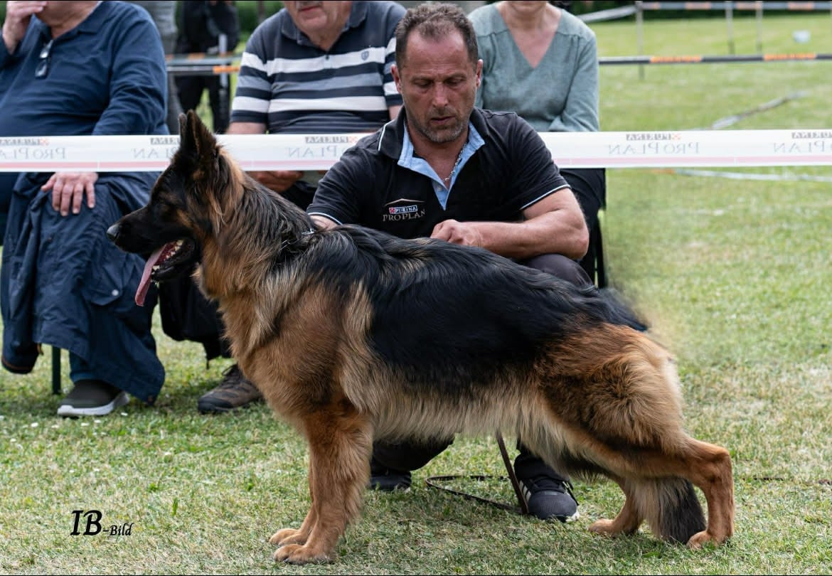 W'athéna du mont noirfeu mont des noirfeux