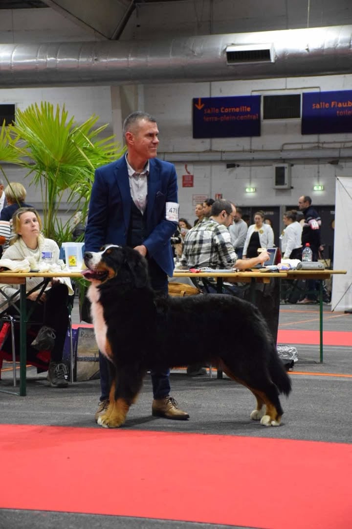 Publication : De La Cathedrale Des Ours 