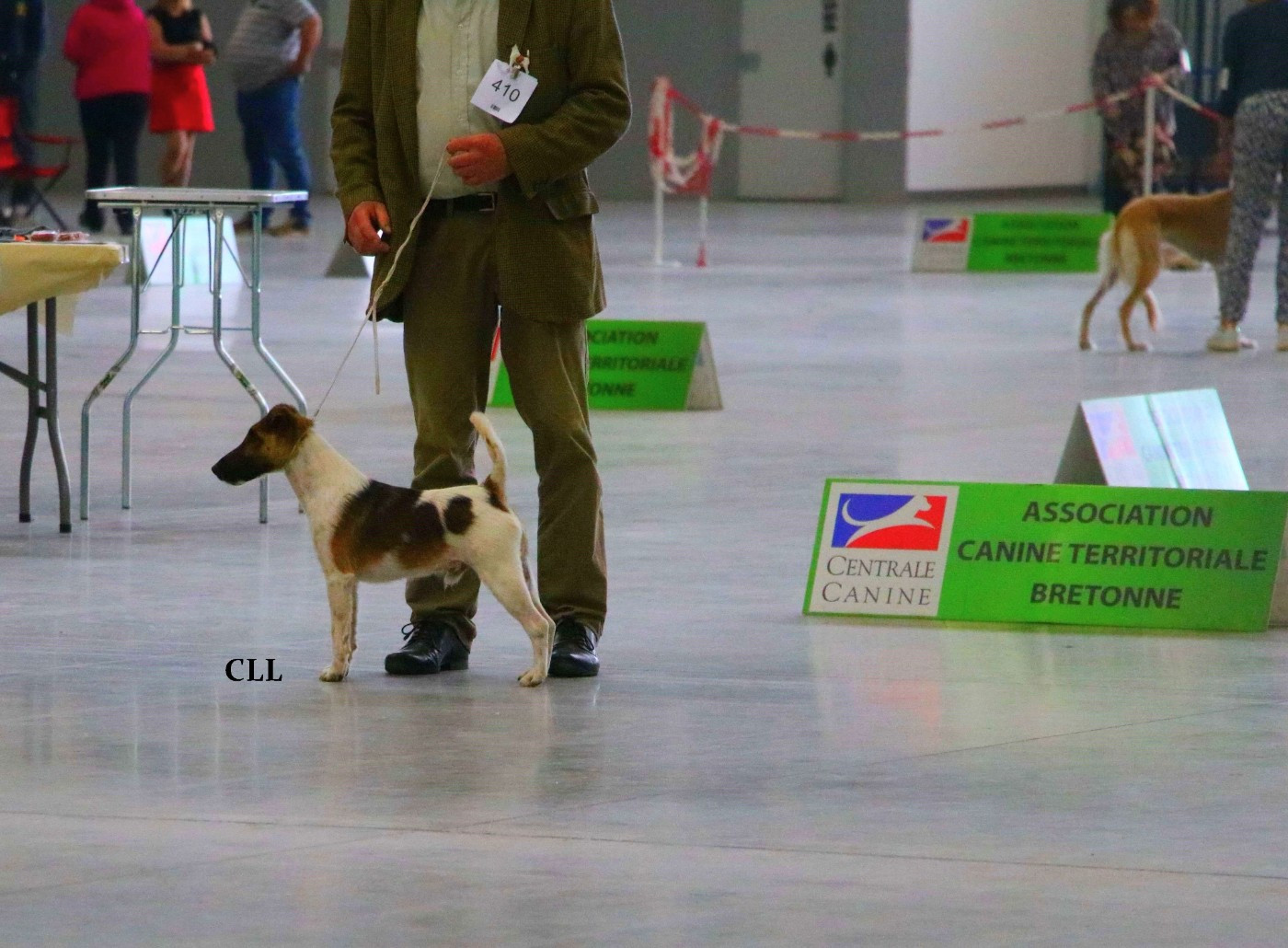 Publication : de la Treviniere Auteur : DE LA TREVINIERE