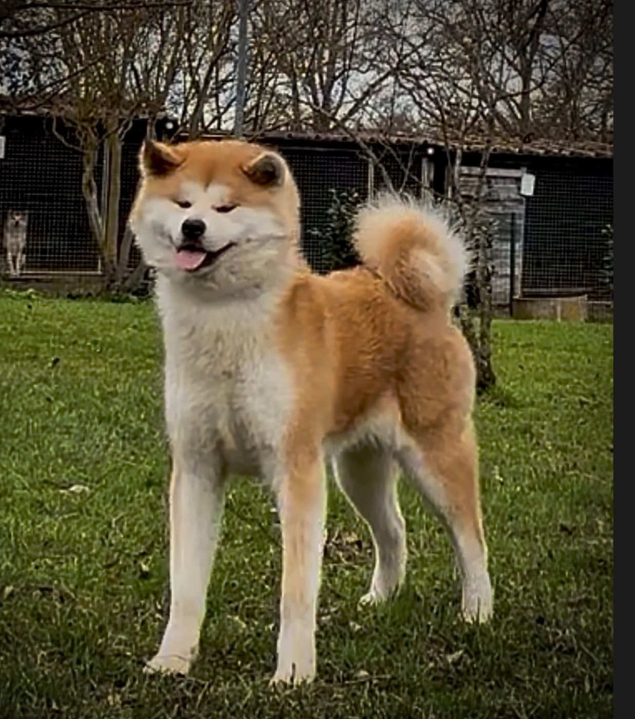 Publication : du Clos des Chtis Auteur : TEAM DU CLOS DES CHTIS