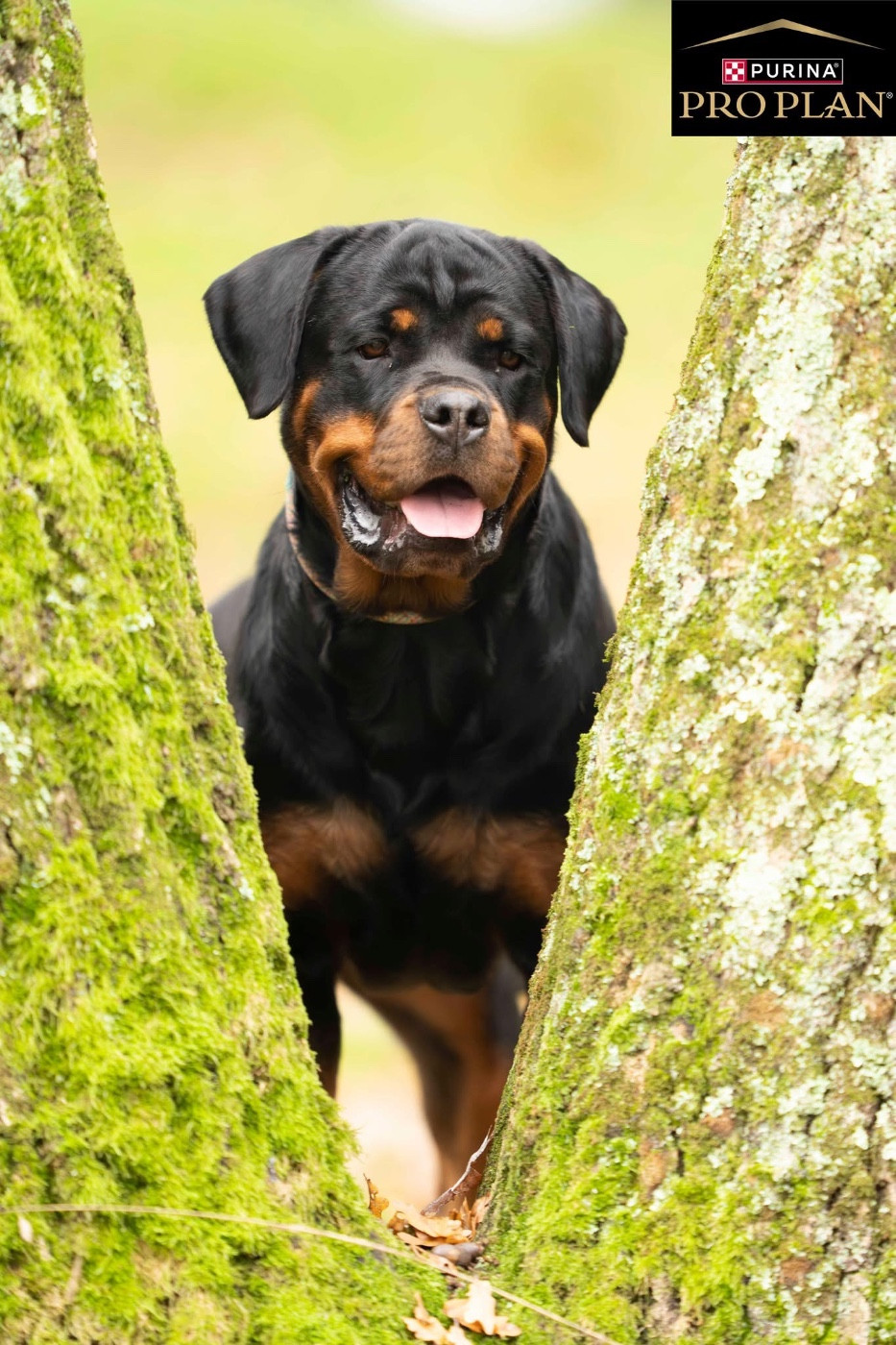 Publication : De La Légende D’Hestia