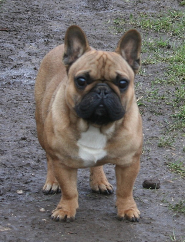 Publication : du clos des Obiers