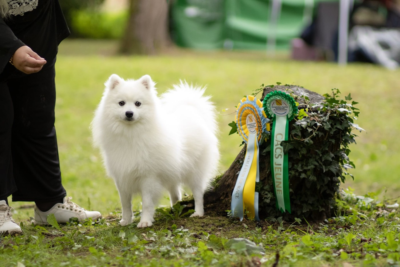 Publication : Of Fantasia Lover Land Auteur : Of fantasia lover Land