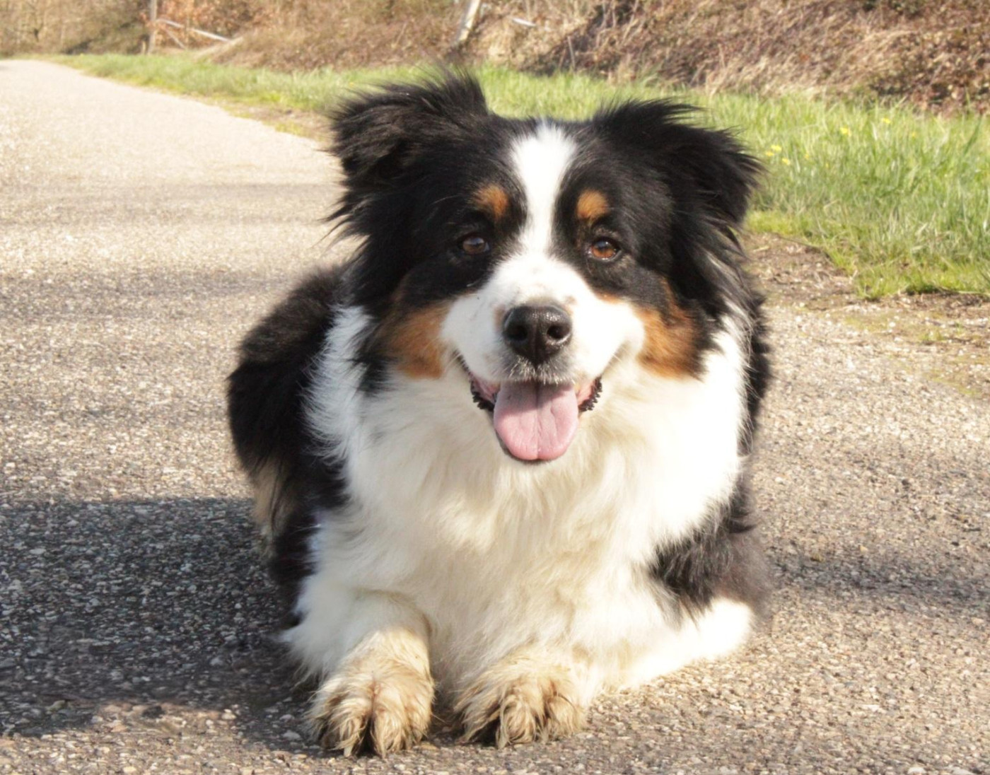 Publication : Du Domaine Du Clos Australien Auteur : Du Domaine Du Clos Australien