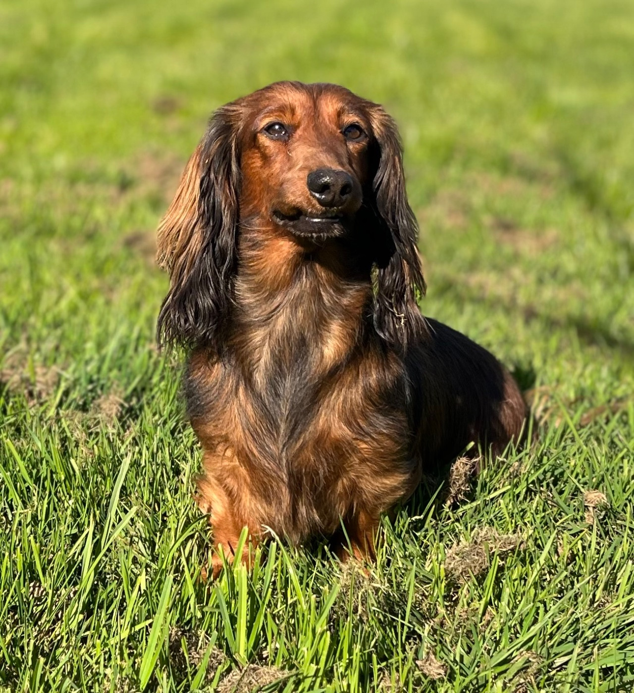 Publication : Des Vents D'Océan 