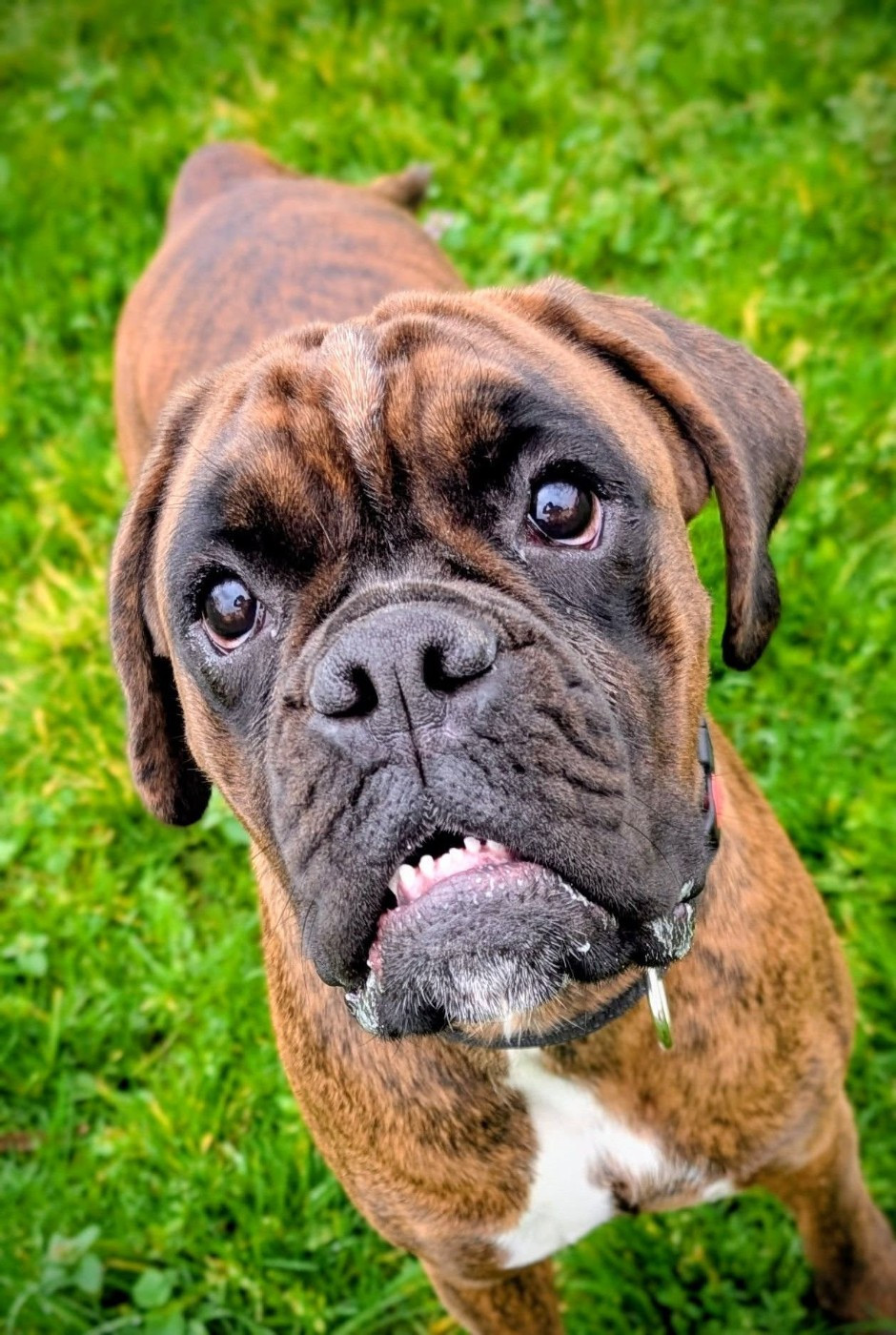 Publication : De La Vallée Des Borderies 