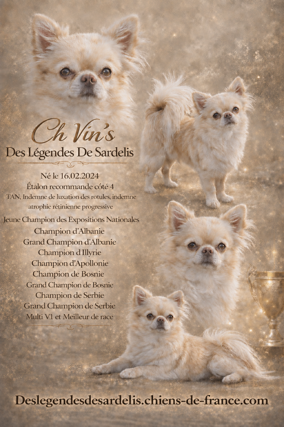 Publication : Des Légendes De Sardelis