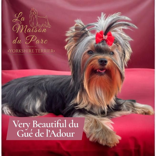 Publication : De La Maison Du Parc