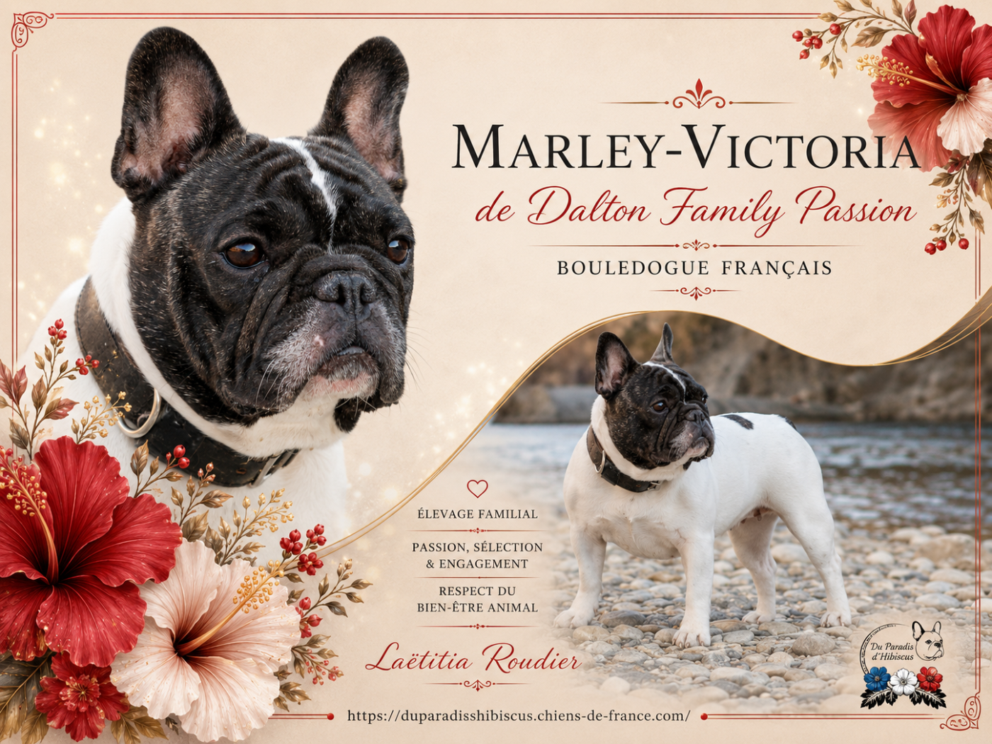 Marley victoria de Dalton Family Passion