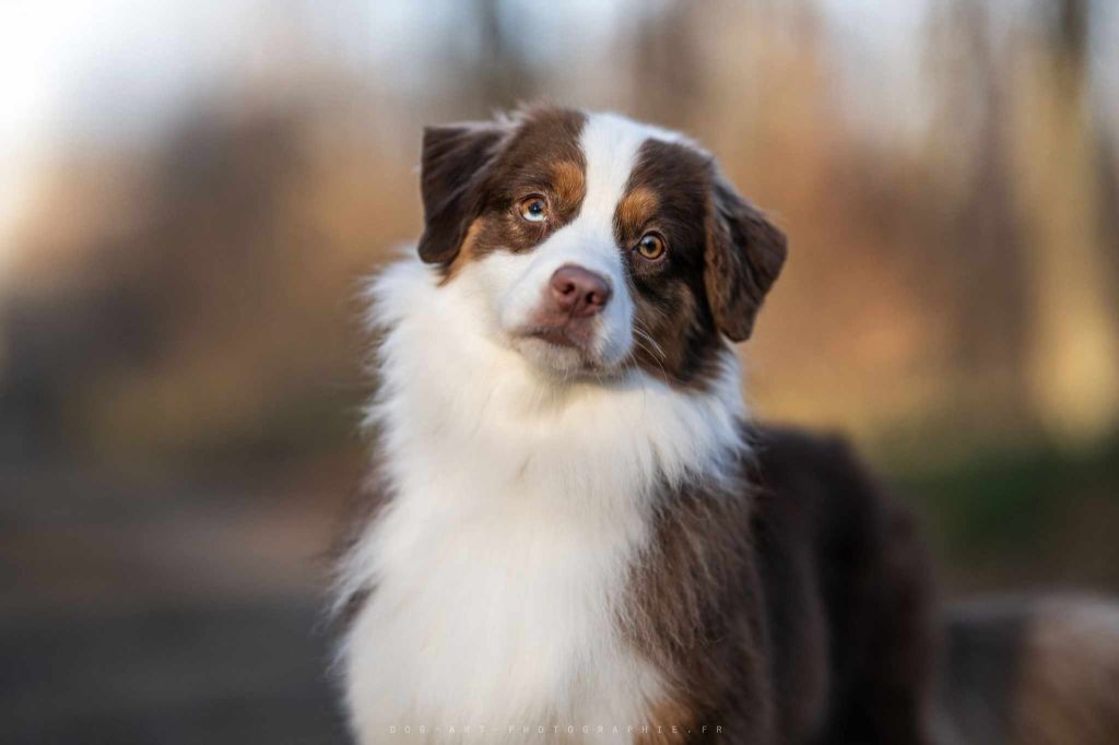 Publication : De La Horde Des Tutus Fous 