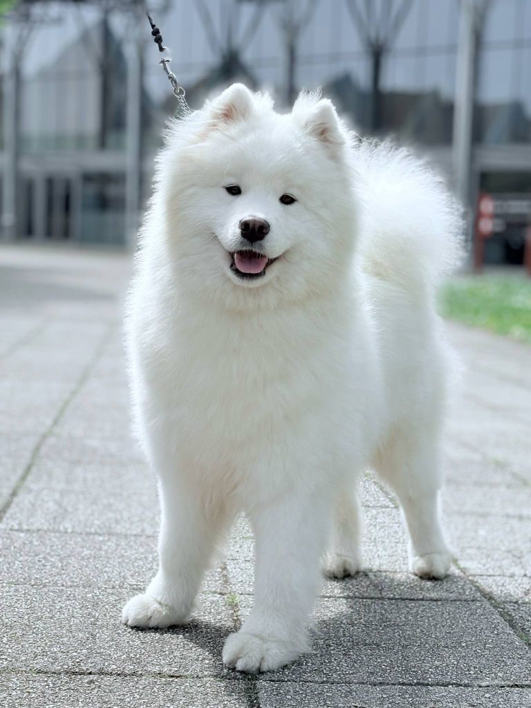 Publication : Du Massif De l'Esterel