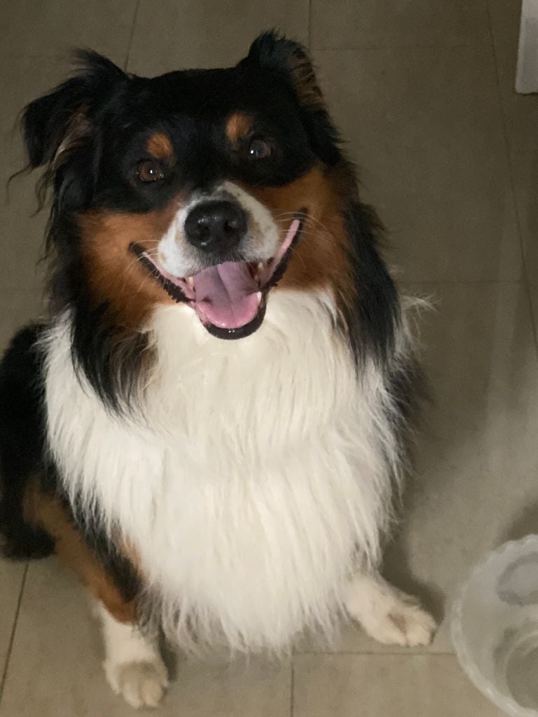 Publication : Guillaume Jheelan Auteur : Guillaume