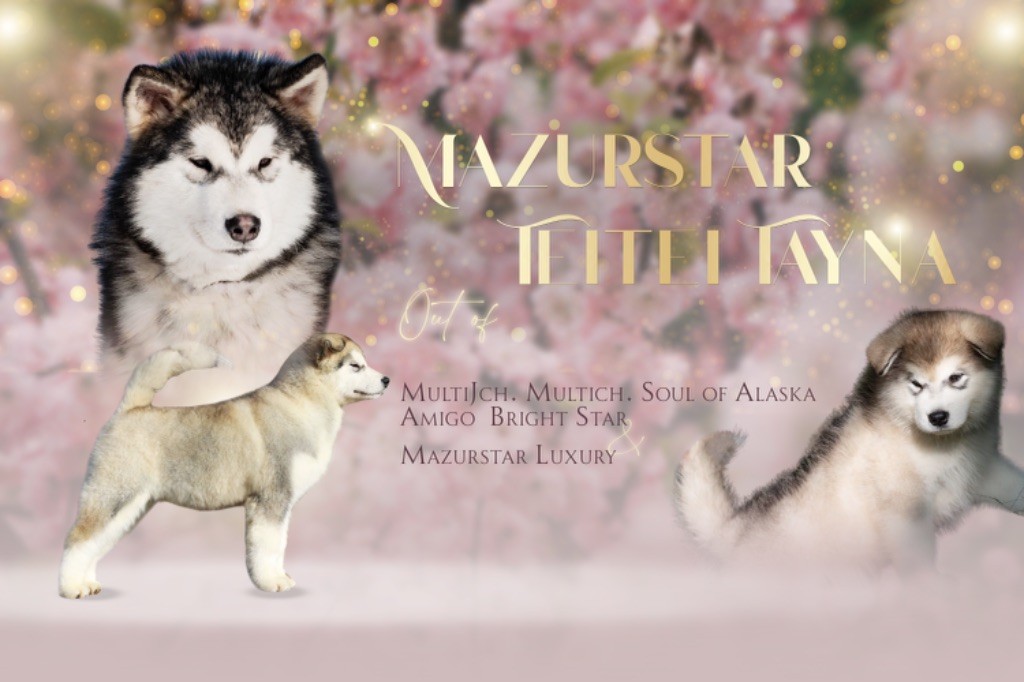 Publication : De L’Aurore De Skadi 