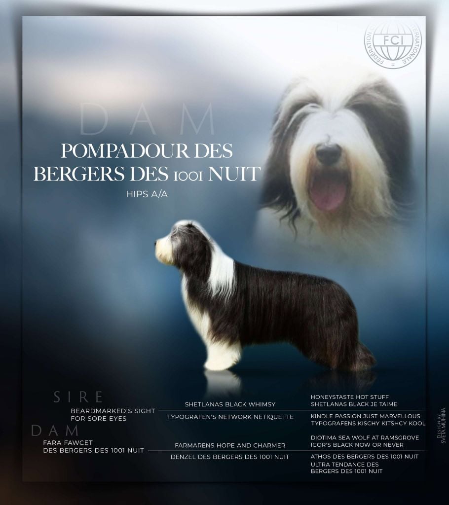 Publication : Des Bergers des Mille et Une Nuit 